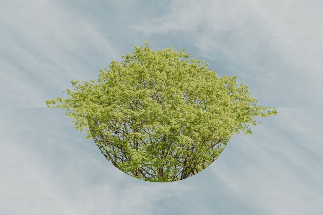 《好鬼两个半之养鬼大师》热映重现经典恐怖片神话
